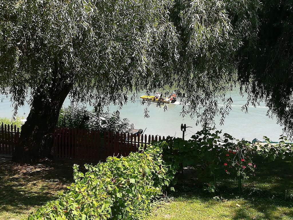 Vila Tiszavirag Vendeghaz Segedín Exteriér fotografie