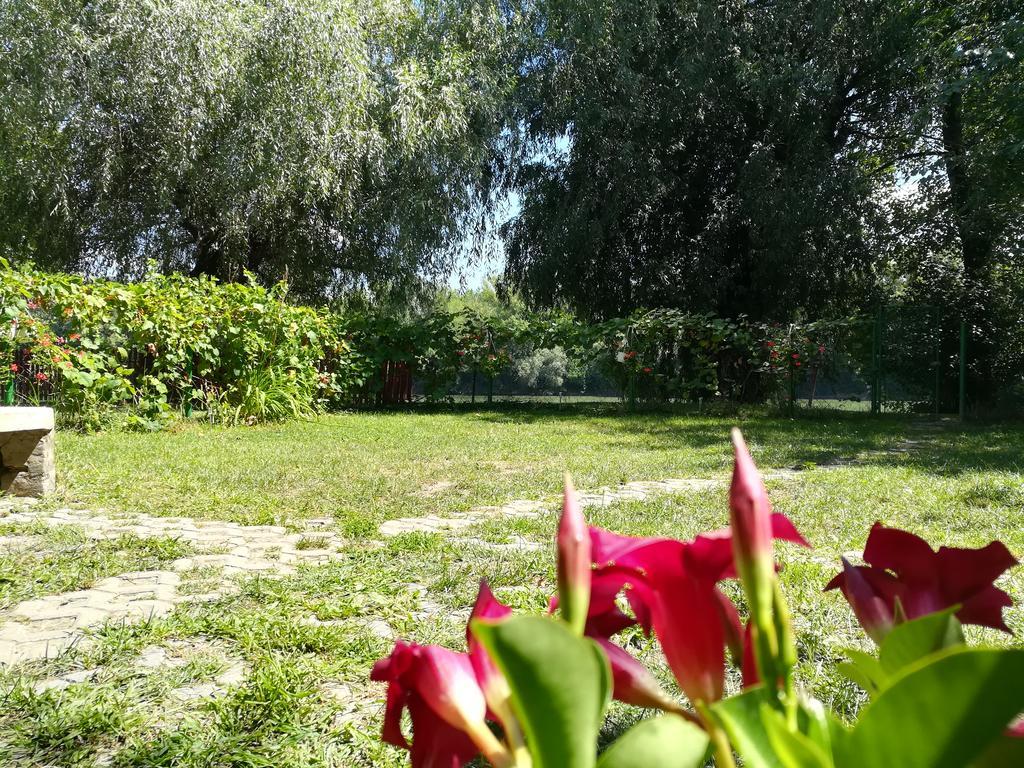 Vila Tiszavirag Vendeghaz Segedín Exteriér fotografie