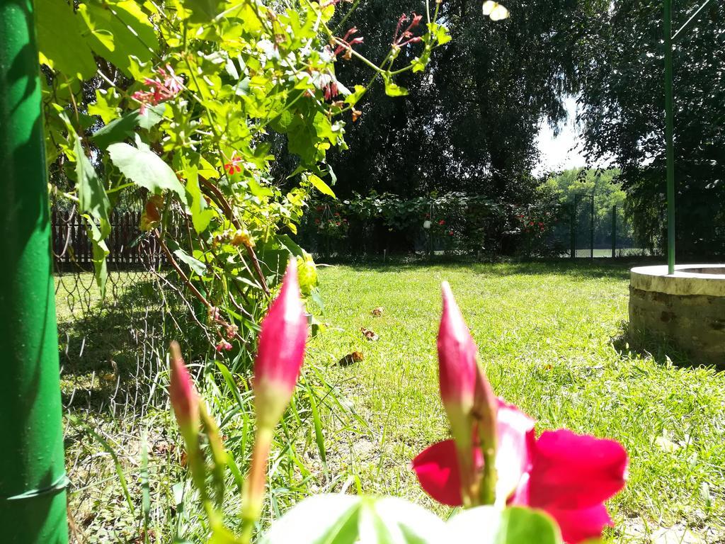 Vila Tiszavirag Vendeghaz Segedín Exteriér fotografie