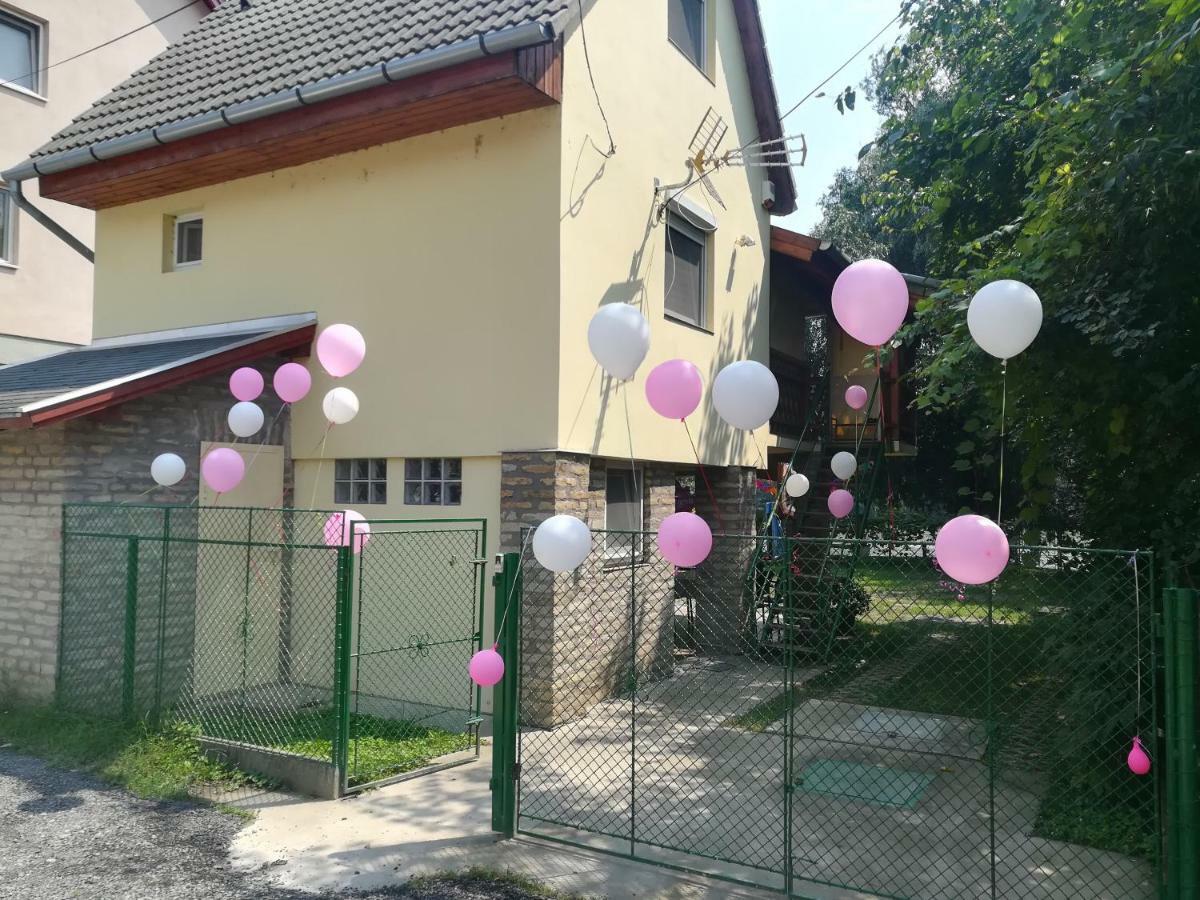 Vila Tiszavirag Vendeghaz Segedín Exteriér fotografie